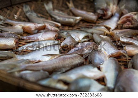 The fish to dry by the sun , Dried fish food of the people in the countryside