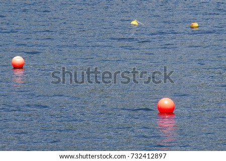 Mooring buoys in a calm bay.
