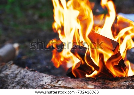 Mesmerizing flames of a burning fire on a blurred background of green grass. Close-up.