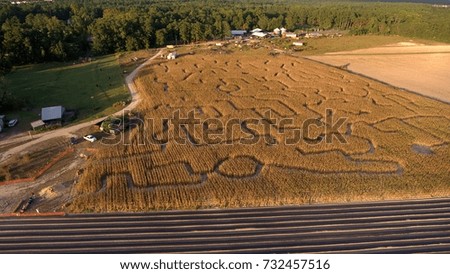 Corn Maze in North Carolina