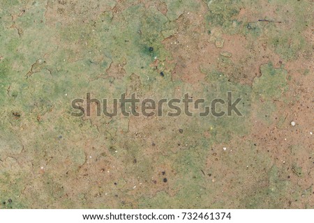 Ground with moss texture. Seamless texture on ground texture.