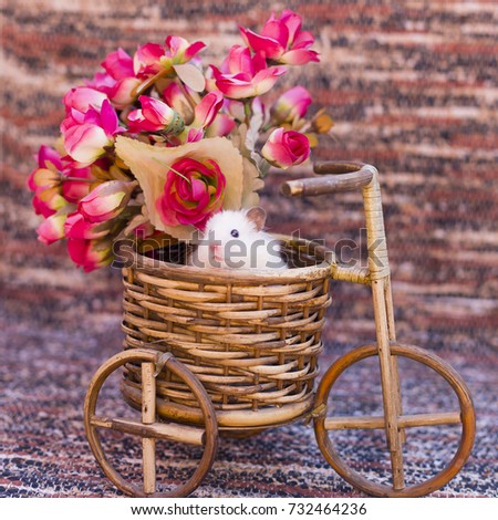 a hamster in a wicker basket with flowers