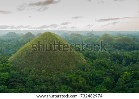 Chocolate Hills in the morning