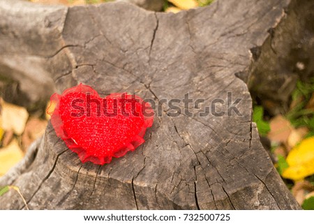 
heart on a tree
