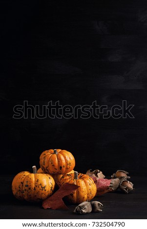 Orange pumpkins on the wooden background. Halloween, thanksgiving and autumn harvest concept with copy space