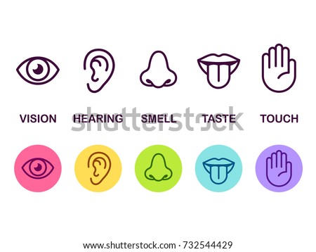 Icon set of five human senses: vision (eye), smell (nose), hearing (ear), touch (hand), taste (mouth with tongue). Simple line icons and color circles, vector illustration. Royalty-Free Stock Photo #732544429