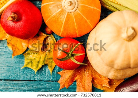 Photo on top of autumn leaves, pumpkin, tomato, pomegranate, on blue wooden table