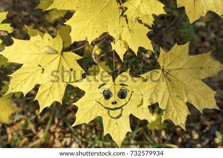 yellow leaves with a picture of happy face on the background of fallen autumn foliage
