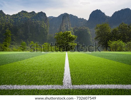 Football field in middle of nature