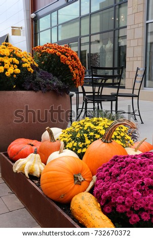 Autumn season outdoor decoration background. Shopping concept.Outlet shopping mall decorated with bright chrysanthemums and pumpkins,outdoor furniture set and shop window on a background.Vertical shot