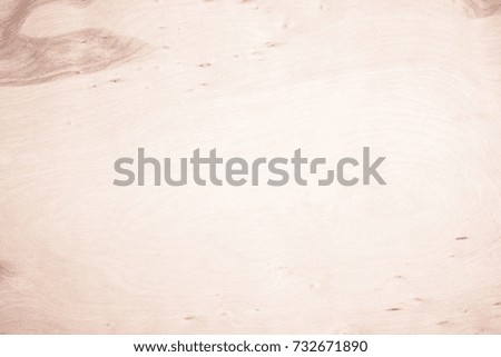 Real Natural white wooden wall texture background. Wood sign board the World's Leading or working resource.