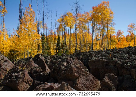 Incredible lava field and autumnal foliage in Dixie National Forest just outside Cedar Breaks National Monument in Utah.