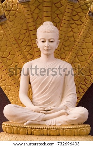 Buddha statue in the buddhist temple, in public area.