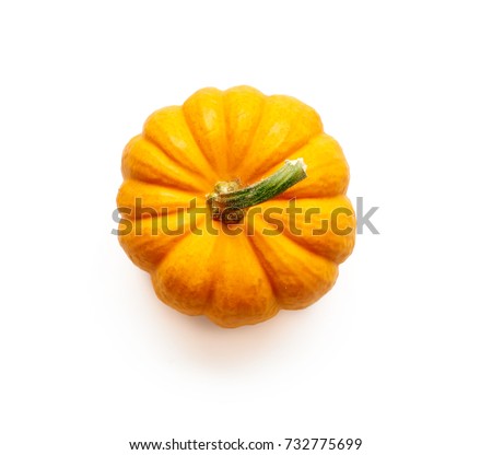 Decorative pumpkin isolated on white background. Top view.