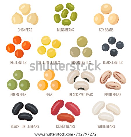 Vector set of legumes. Flat style. Royalty-Free Stock Photo #732797272