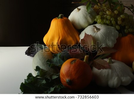 Still life with zucchini, pumpkin, squash and grape.