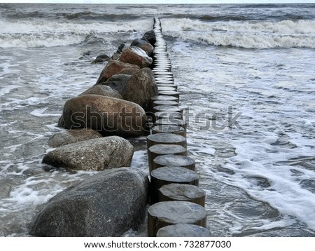 The walk near the Baltic Sea in Zelenogradsk