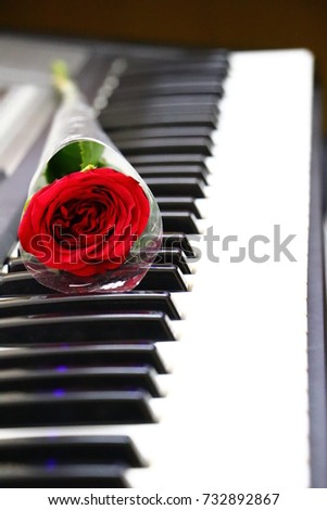 Red Rose on piano