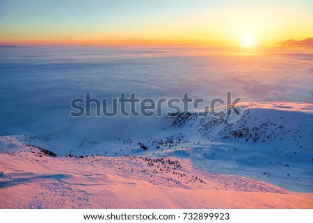 Beautiful pink sunset shine enlightens the picturesque landscapes with fair trees covered with snow and high mountains. Beautiful winter background. Frosty day, gorgeous wintry scene.