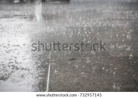 Rainy day in the city, drops falling on wet gray cold asphalt, rain falling on the asphalt roadbed gray weather, black and white rain on the wet floor