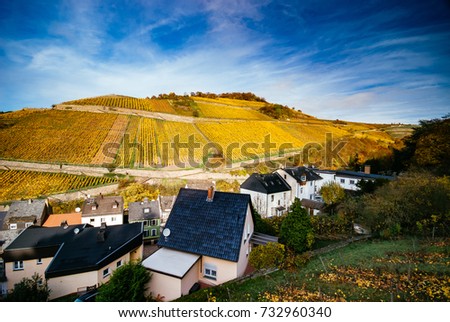Vineyards, hills and the village landscape in the morning in autumn, Assmannshausen, Rüdesheim am Rhein, Hesse, Germany