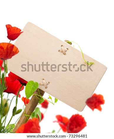 empty sign for message on a wooden panel, green plant and poppies - image is isolated on a white background