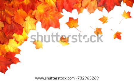 Autumn composition. Frame made of autumn dried leaves on white background. Flat lay, top view, copy space - Image