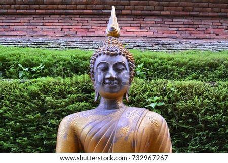 Old Buddha front of grass and brick texture background