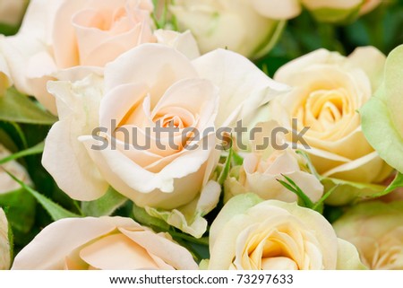 beautiful bouquet