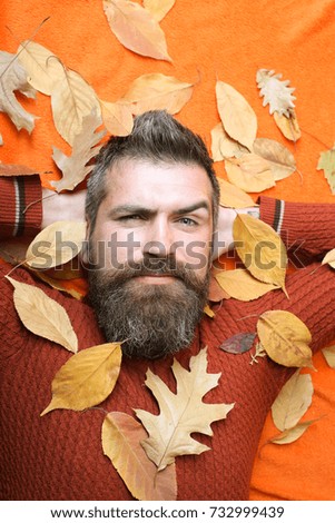 Floral fashion and beauty. Man with long beard in natural yellow fall leaves. Hipster or bearded guy in autumn on orange background. leaves background at barber and hairdresser. Season and autumn.