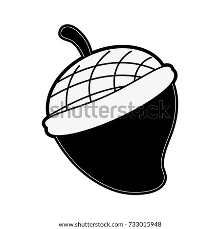 single acorn icon image