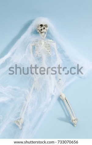 Plastic toy skeleton captured by a spider web on a vibrant pop blue background. Minimal color still life photography