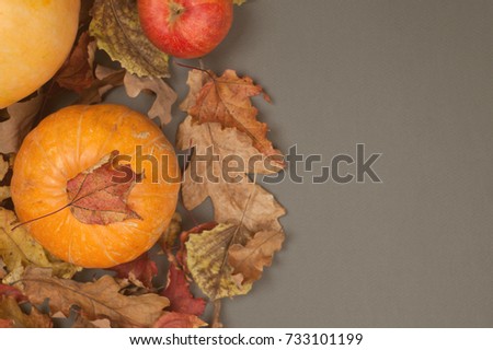 Autumn concept with seasonal vegetables and fruits, organic food background; Autumn harvest with Farmers fruits and Vegetable on dark  background. Thanksgiving day concept, copy space