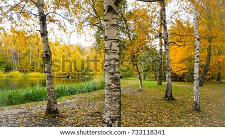 Autumn season in Russia Moscow