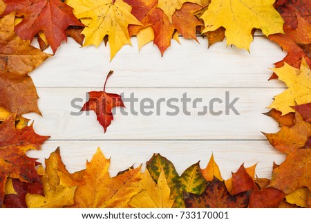 View of white wooden background with autumn maple leaves