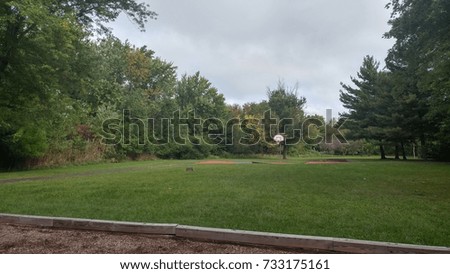 Park Landscape with Basketball Net