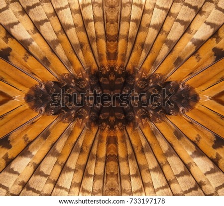Abstract symmetric pattern of feathers owls close-up as background. The texture of the wing feathers of the owl. Macro of the brown and yellow feathers of a owl. The image with mirror effect.
