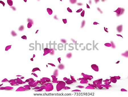 Violet rose petals fall to the floor. Isolated background