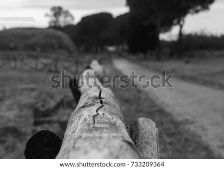 close-up of a fence photographed along the Appia Antica in Roma - Italy