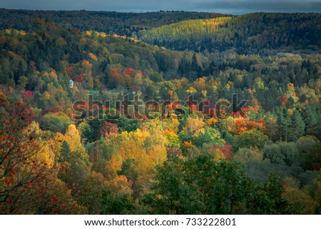 Picturesque view on valley of Gaujas national park. Trees changing colors in foothills.  Colorful Autumn day at city Sigulda in Latvia. 
