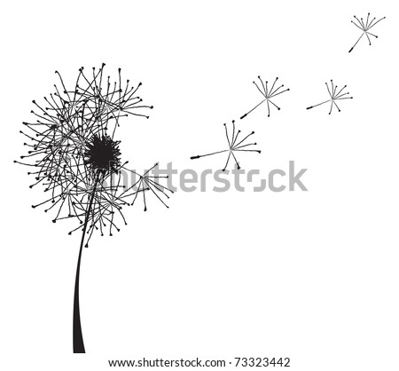 Vector illustration of a dandelion outline loosing its fuzzes