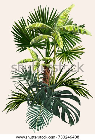 Vector vintage composition with exotic leaves, palm trees, banana trees. Botanical classic illustration. Perfect for wallpapers, web page backgrounds, surface textures, textile. Royalty-Free Stock Photo #733246408