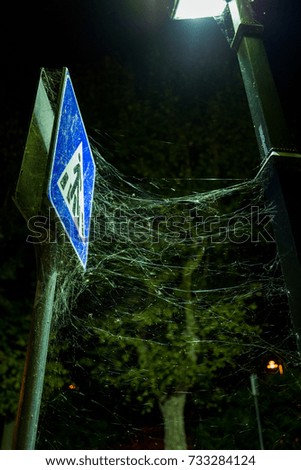 spiders and web at traffic sign