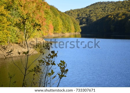 landscape of lake and trees on the background,Lake of trees of withering and autumn

