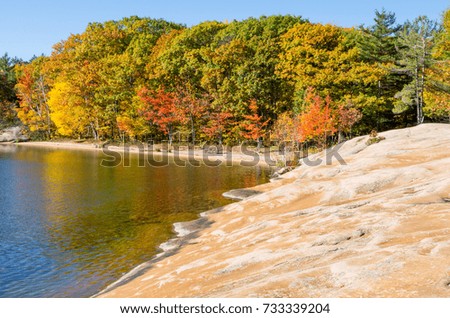 Colorful Autumn Leaves on Red Granite Shores