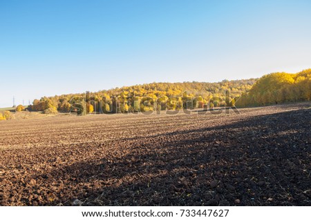 Autumn landscape. Field plowing on the background of an autumn tree. colorful trees. yellow, golden red brown color. 