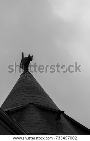 Sculpture of a cat on the top of a roof in Riga Latvia