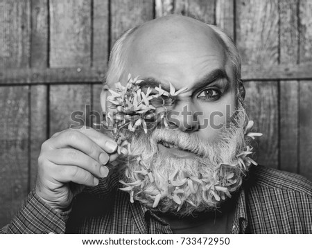 old bearded man with yellow flowers in long grey beard on winking face in red checkered shirt on wooden background