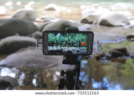 Smartphone on tripod taking video recording of river in rainforest