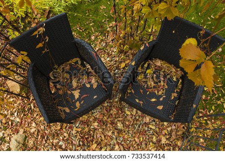 Two garden chairs with fallen leaves